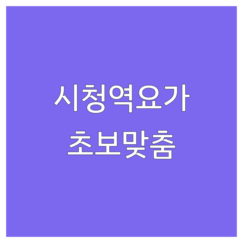 서울 시청역 요가 학원 추천 | 종각 을지로 직장인 요가 시간표 | 초보자 맞춤형 가격 비교 | 젠요가 브레인트레이닝 티에라요가